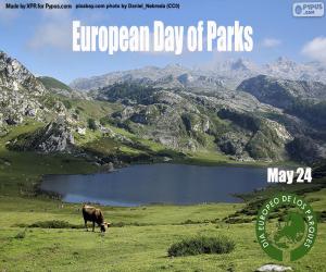 пазл Европейский день парков